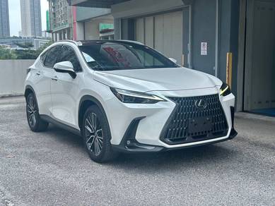 Lexus NX 250 LUXURY in Chan Sow Lin, KUL