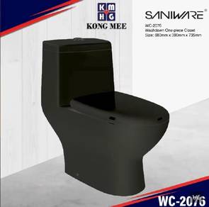 one-piece washdown toilet 