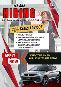 Sales Advisor