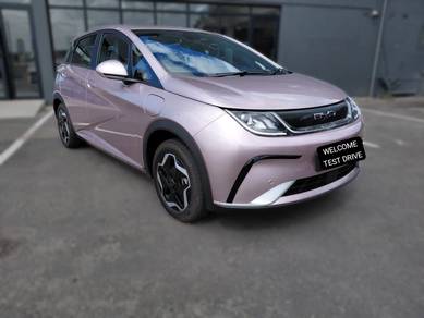 BYD Dolphin DYNAMIC STANDARD RANGE in Others, PNG