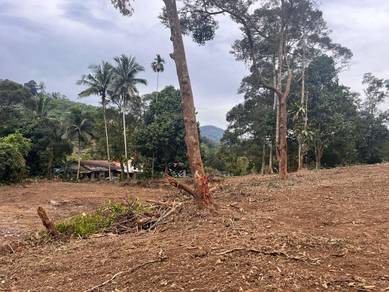 Agricultural Land in Hulu Langat, SGR