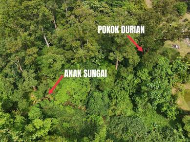 Agricultural Land in Hulu Langat, SGR