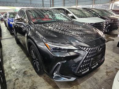 Lexus NX 250 LUXURY in Petaling Jaya, SGR