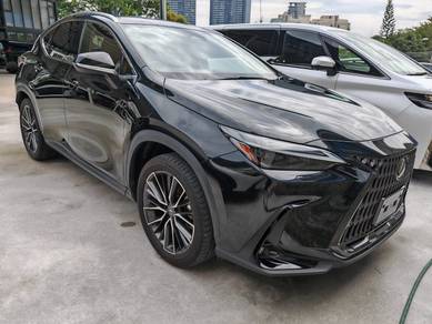 2022 Lexus NX 250 LUXURY