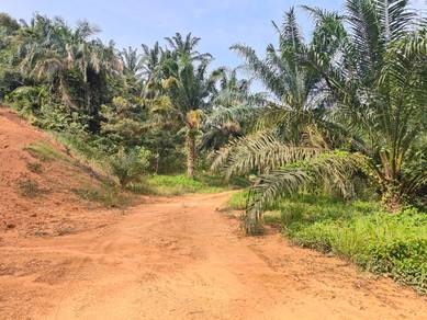 Agricultural Land in Seremban, NSN