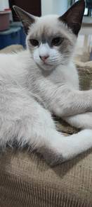 mix