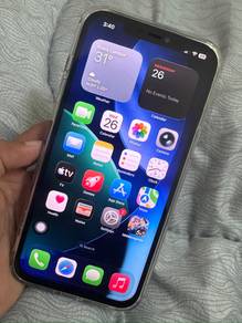 Iphone 12 Pro Max