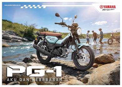 Yamaha PG-1