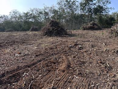 Agricultural Land in Alor Gajah, MLK