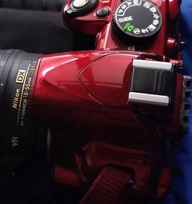 Nikon D3100 (COD Only)