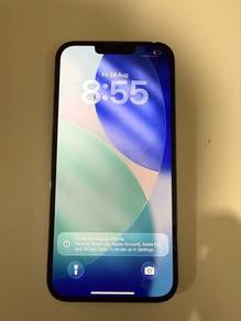 Iphone 13 pro max 256gb