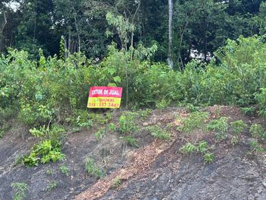 Agricultural Land in Maran, PHG