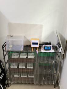 solar hydroponic system