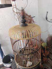 sangkar burung kecil 