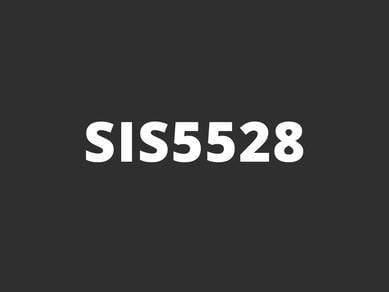 SIS5528