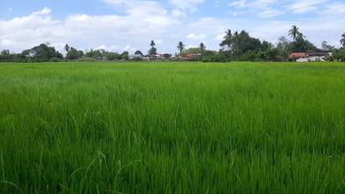 Agricultural Land in Kodiang, KDH