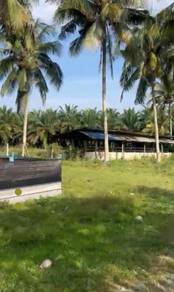 Agricultural Land in Sungai Lembing, PHG