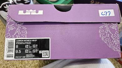 Nike Lebron Witness VII