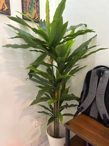 Dracaena artificial tree