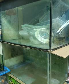 akuarium 1kaki panjang x 1.5kaki tinggi