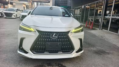 Lexus NX 250 LUXURY in Ampang Hilir, KUL