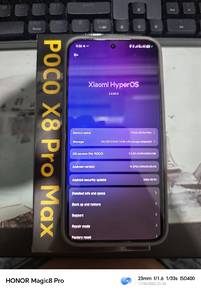 POCO X8 Pro Max (12+512GB)