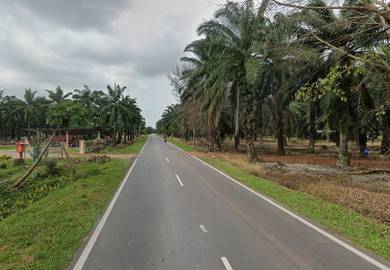 Agricultural Land in Sungai Mati, JHR