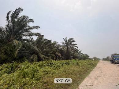 Agricultural Land in Klang, SGR