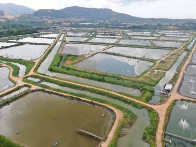 Others Land in Batu Pahat, JHR
