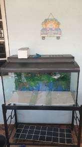 fish tank 3feet