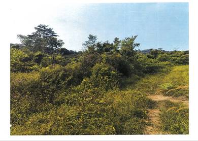 Agricultural Land in Rembau, NSN
