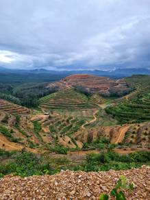 Agricultural Land in Karak, PHG