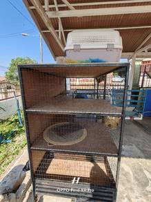 sangkar kucing