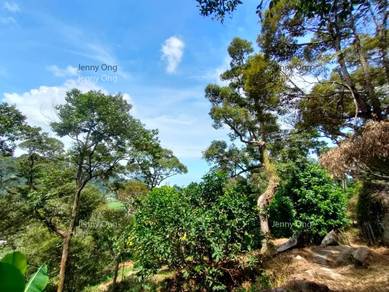 Agricultural Land in Balik Pulau, PNG