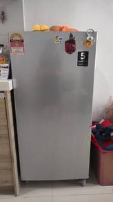 Media Refrigerator 151L for Sale