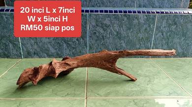 Kayu driftwood simple solid tank Channa
