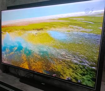 Sony Bravia 65 inch