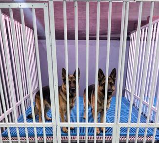 boarding service pet hotel
