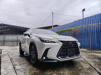 Lexus NX 250 BASE GRADE in Chan Sow Lin, KUL