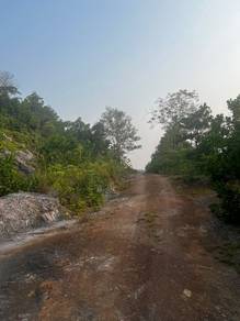 Agricultural Land in Segamat, JHR