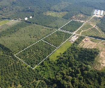 Agricultural Land in Gemencheh, NSN
