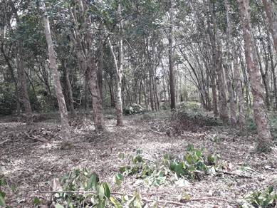 Agricultural Land in Kuantan, PHG