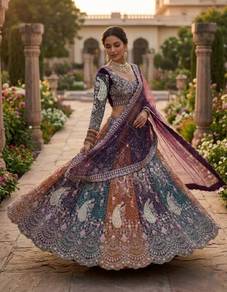 Multi Colour Soft Butterfly net Lehenga Choli
