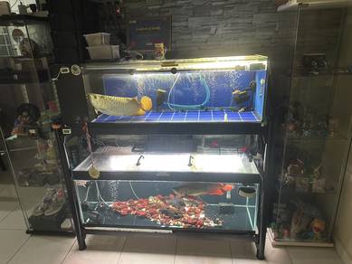 Aquarium 4ft for sale