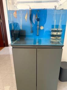 Fish Aquarium