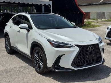 2023 Lexus NX 250 BASE GRADE