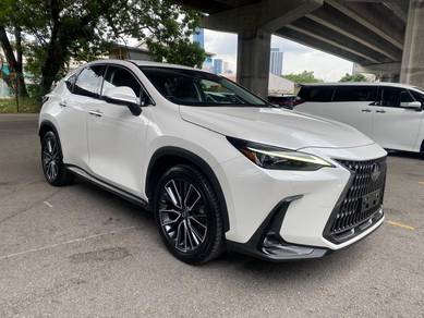 2023 Lexus NX 250 LUXURY
