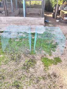 perkup ayam