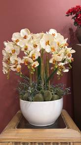 White Orchid Arrangement in White Pot