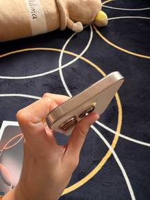 Iphone 16 pro (256 gb)